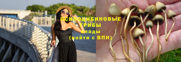 каннабис Абаза