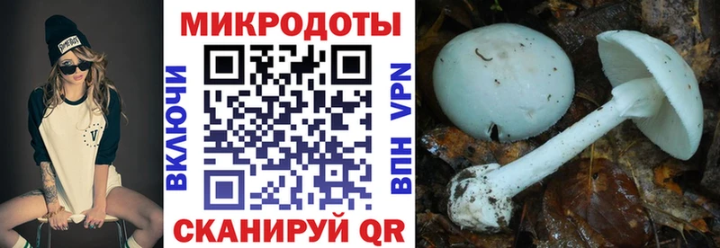 Галлюциногенные грибы мицелий  гидра ONION  Златоуст 